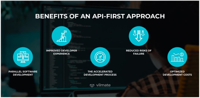 The importance of API-First Development in co-development software