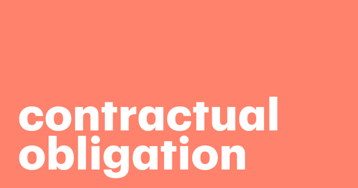 The importance of Contractual Obligations in co-development software