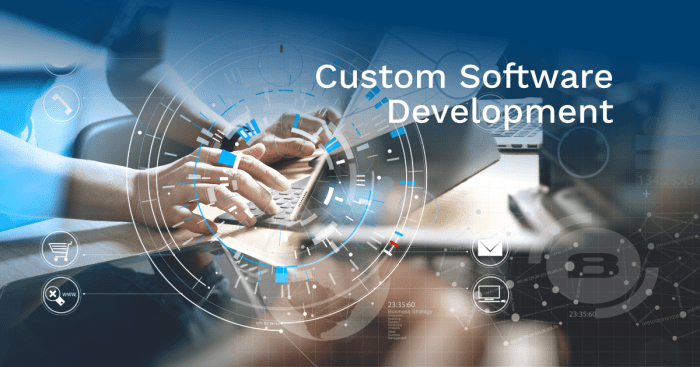 The importance of Customer Support in co-development software