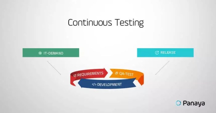 The importance of Continuous Testing in co-development software