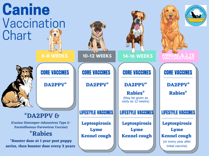 5 way puppy vaccine