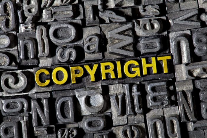 The importance of Copyright in co-development software