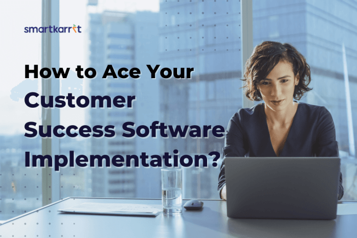 The importance of Customer Success in co-development software