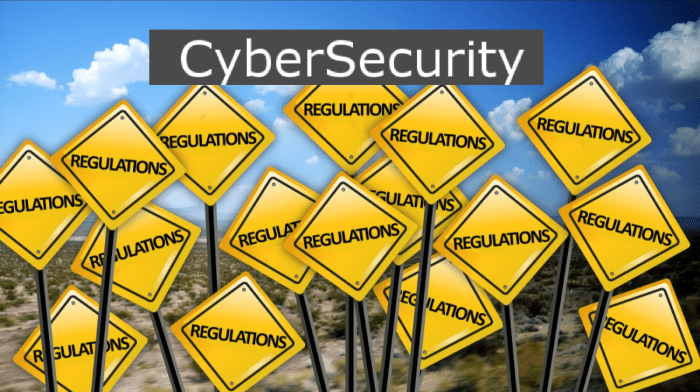 The importance of Cybersecurity Regulations in co-development software