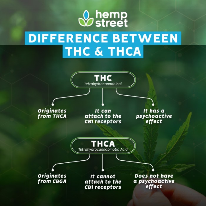 Cannabis labels marijuana everything need know decode thca δ9 here