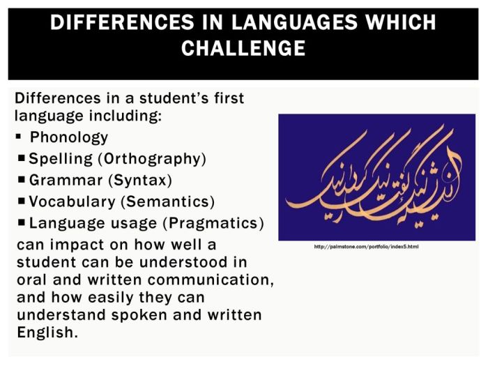 The importance of Language Barriers in co-development software