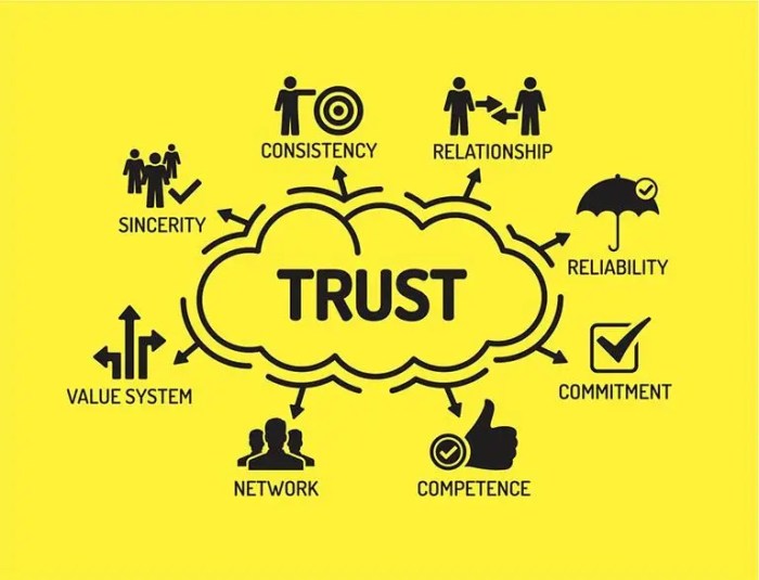 The importance of Trust in co-development software