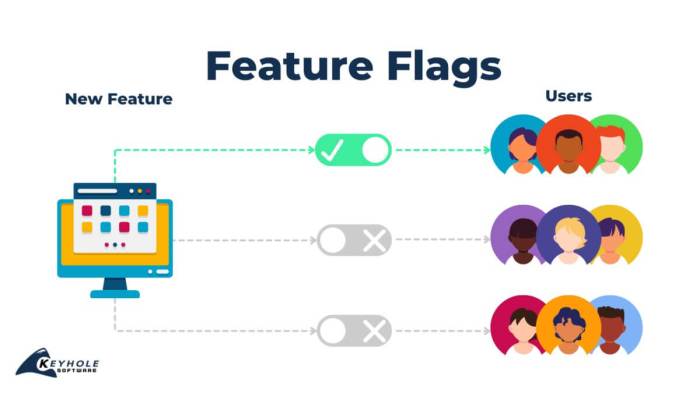 The importance of Feature Flags in co-development software