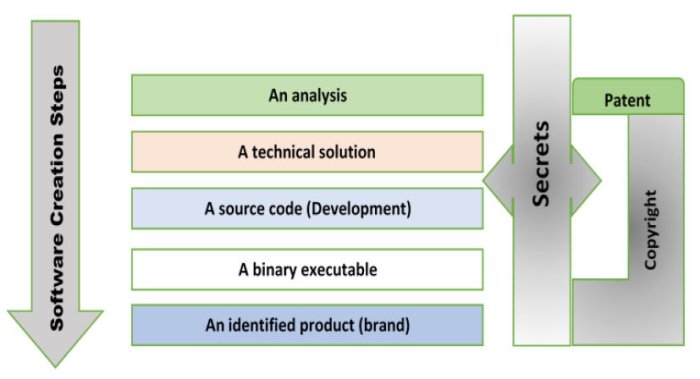 The importance of Intellectual Property Rights in co-development software