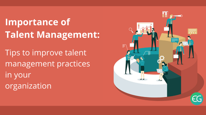 The importance of Talent Management in co-development software