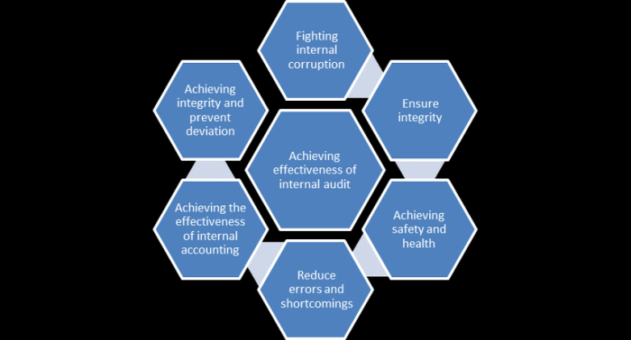 The importance of Governance in co-development software