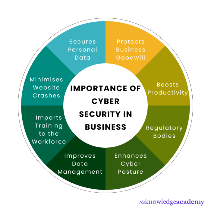 The importance of Cybersecurity in co-development software