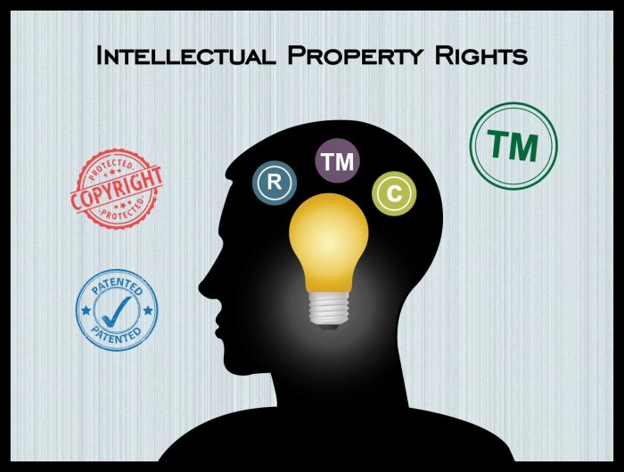 The importance of Intellectual Property Rights in co-development software