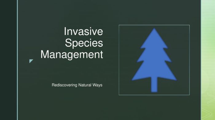 Earth control measure and Invasive Species Control