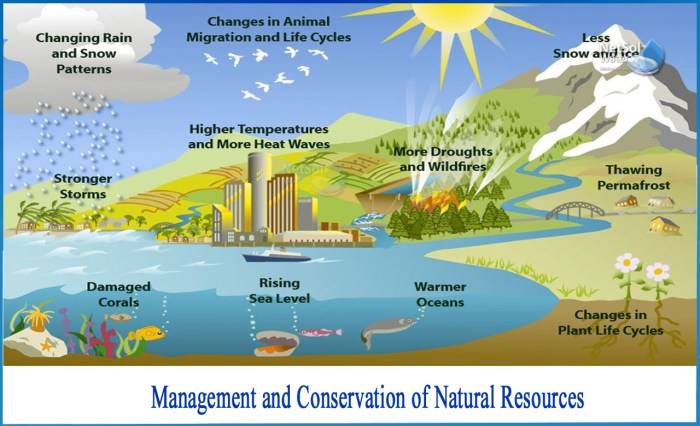 Earth control measure and Water Conservation