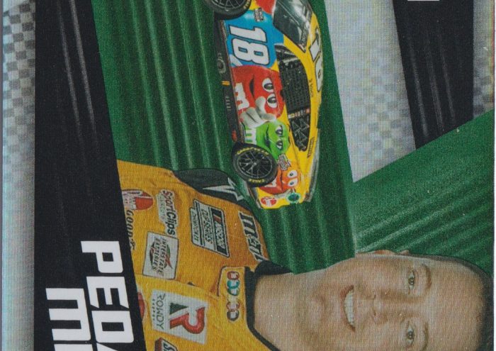 Kyle busch nascar card