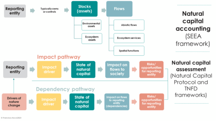 Earth control measure and Natural Capital