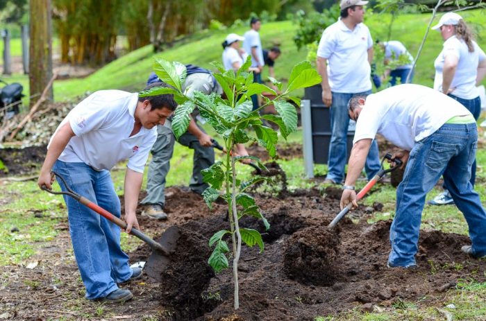 Earth control measure and Reforestation