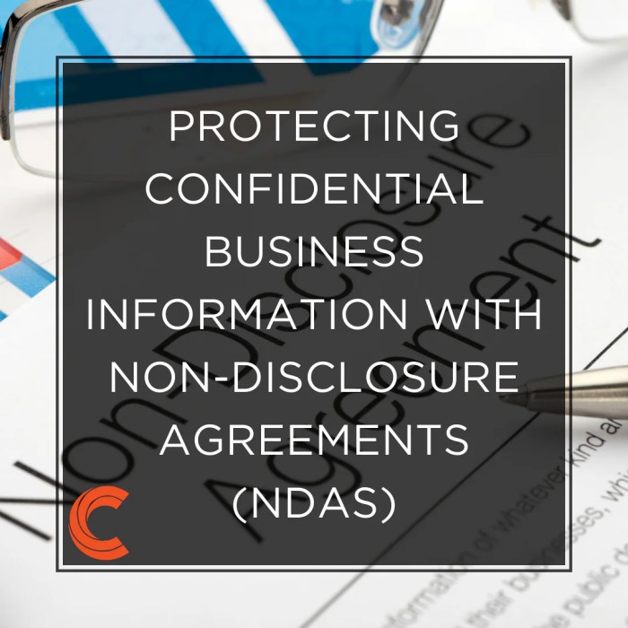 The importance of Non-Disclosure Agreements in co-development software