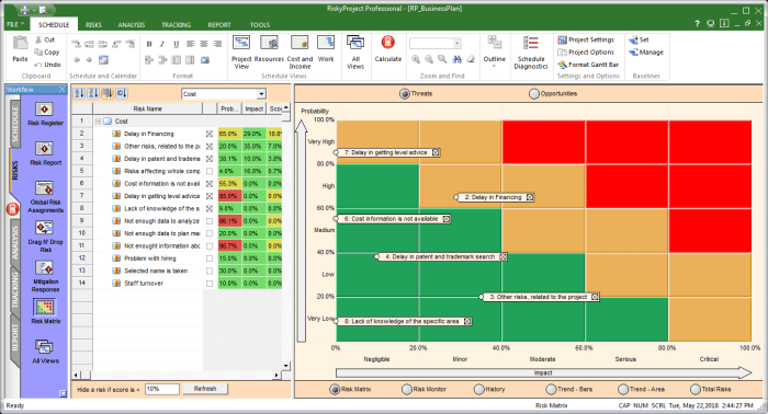 The importance of Risk Management in co-development software