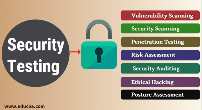 The importance of Security Testing in co-development software