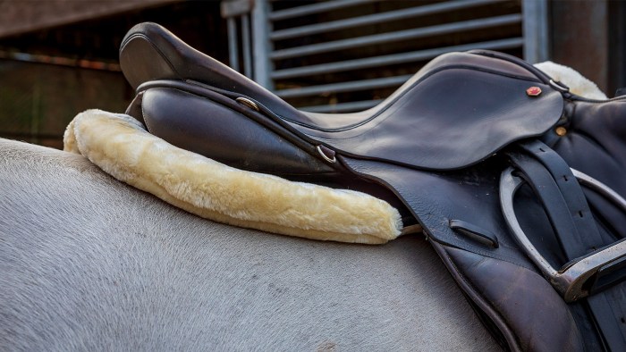 Best way to store a horse saddle for storage