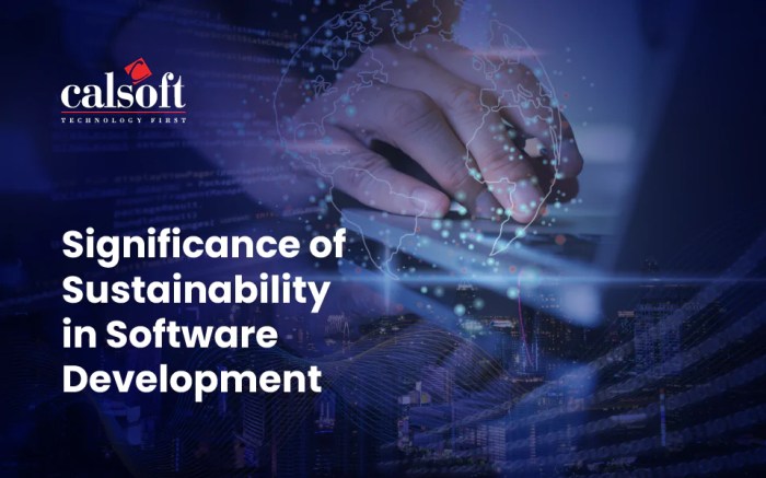 The importance of Sustainability in co-development software