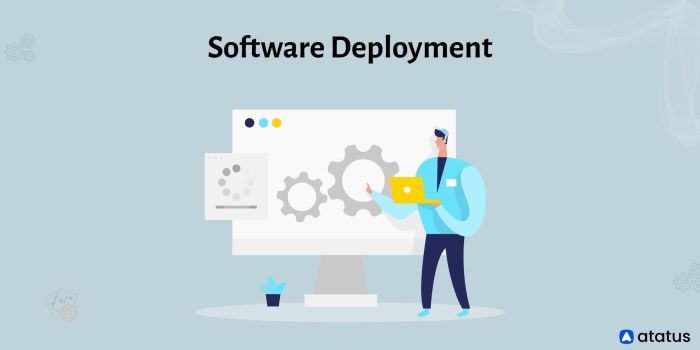 The importance of Deployment Strategies in co-development software