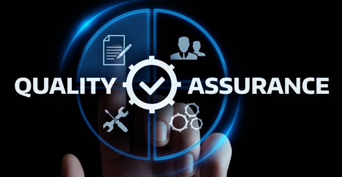 The importance of Quality Assurance in co-development software