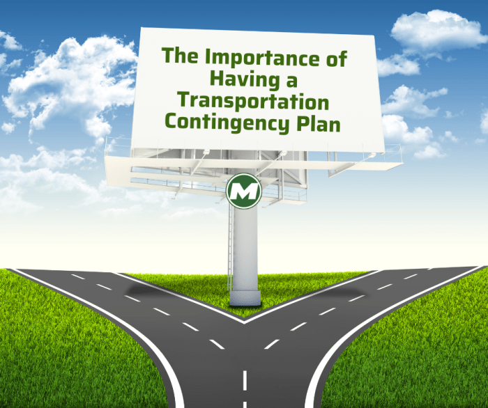 The importance of Contingency Planning in co-development software