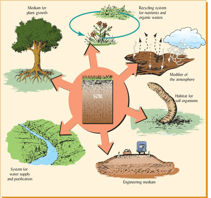 Earth control measure and Ecosystem Services