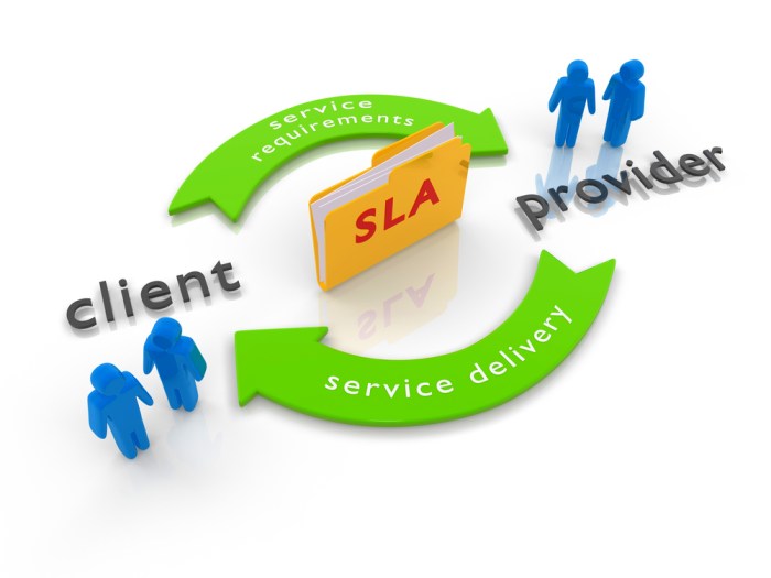 The importance of Service Level Agreements in co-development software