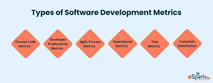 The importance of Software Metrics in co-development software