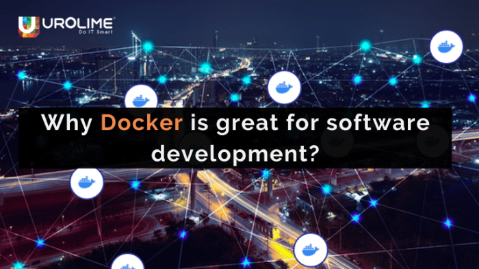 The importance of Docker in co-development software