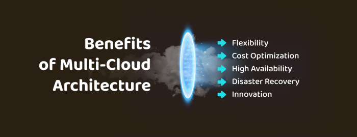 The importance of Multi-Cloud in co-development software