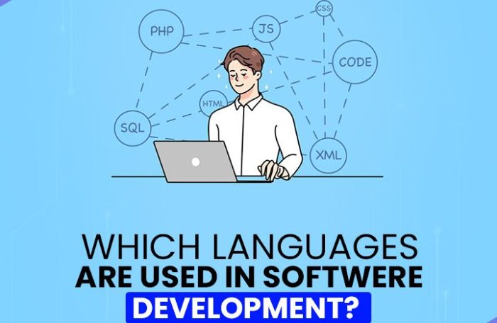 The importance of Language Barriers in co-development software