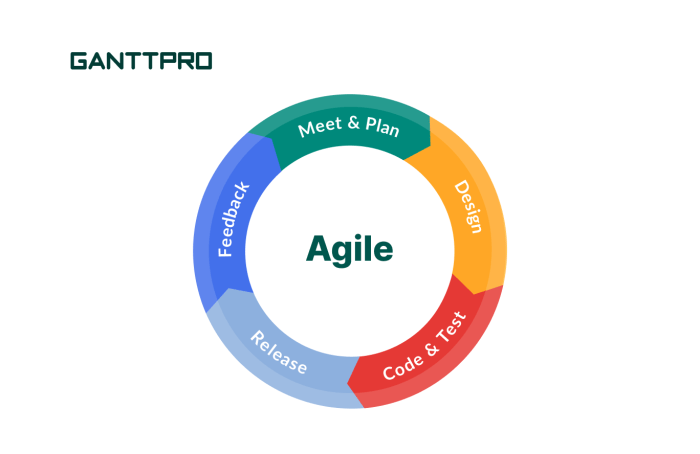 The importance of Agile Project Management in co-development software