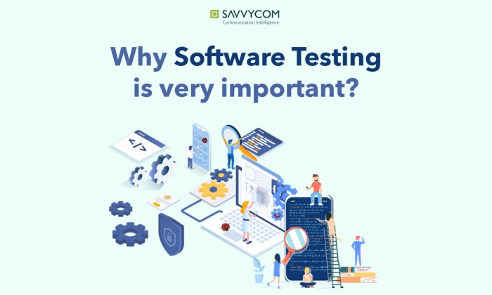 The importance of Software Testing in co-development software