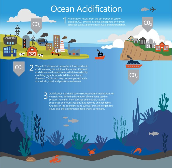 Acidification satellites satellite ph esa salinity smos averaged temperature