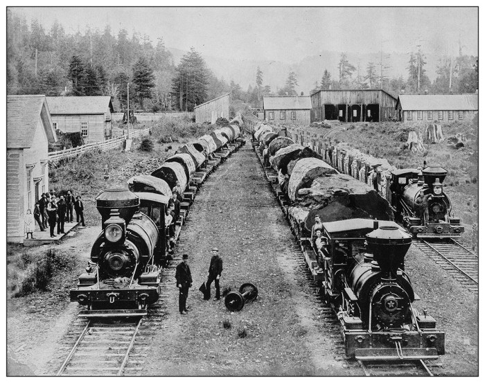 Lumber summit 1900s mule company enlarged photograph each click picture train early