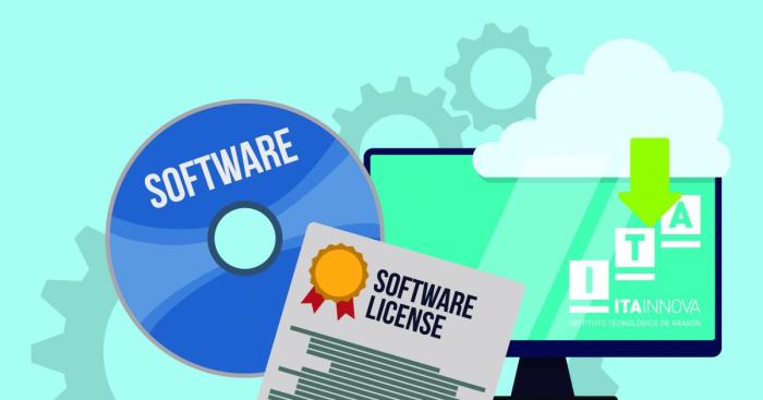 The importance of Legal Considerations in co-development software