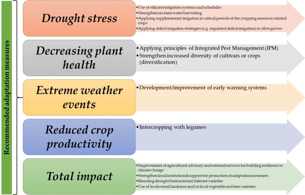 Adaptation fao priority adapt management priorities