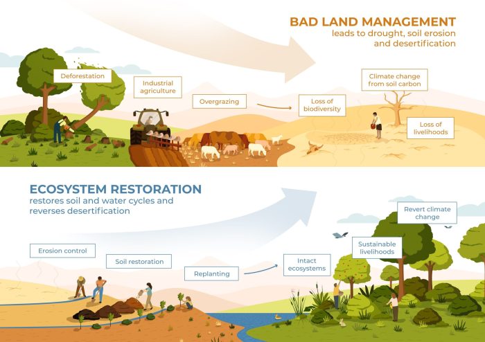 Earth control measure and Ecosystem Restoration