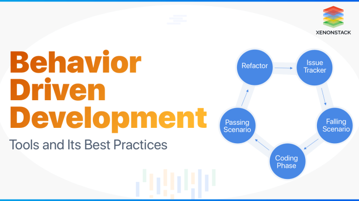 The importance of Behavior-Driven Development in co-development software