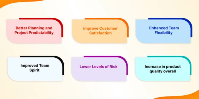 The importance of Agile Development in co-development software