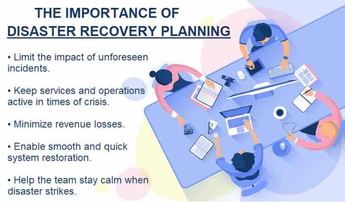 The importance of Disaster Recovery in co-development software