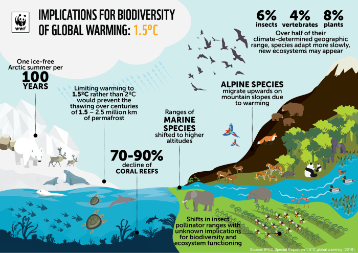 Biodiversity ecosystem infographic diversity hayati biological diseases indonesia ripe manfaat sustaining sok renewable warming infectious ecology resilience hijauku agriculture convention