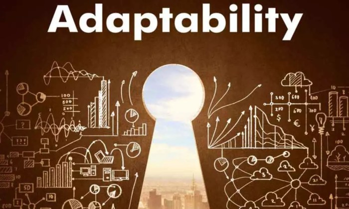 The importance of Adaptability in co-development software