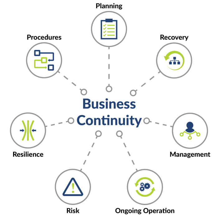 The importance of Business Continuity in co-development software