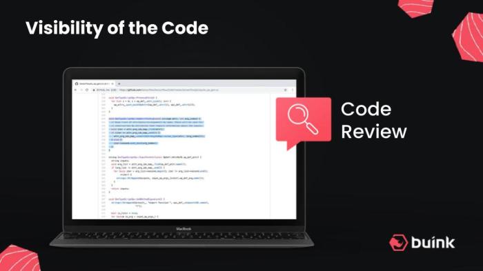 The importance of Code Review in co-development software